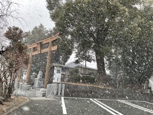 IMG_0216