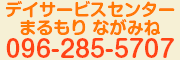 デイサービスセンター まるもり ながみね