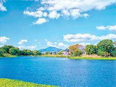 四季折々の自然が楽しめる江津湖の風景